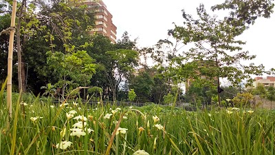 Photos of residencial mall conquistadores Park