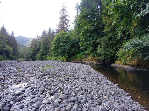 Kilchis River County Campground - Thumbnail