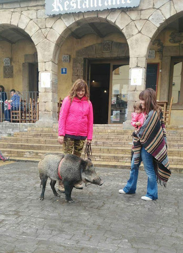 Zoo Park Interpretativo de la Naturaleza de Orozko Gallery - Spain
