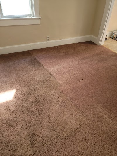 Norris carpet cleaning