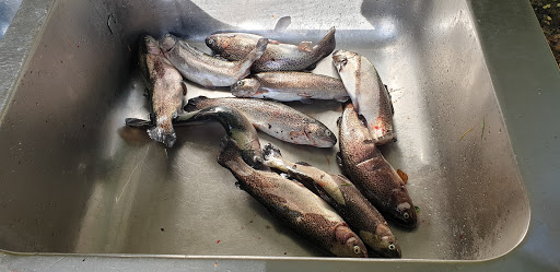 Angel Park + smoked fish Breuch - Thumbnail
