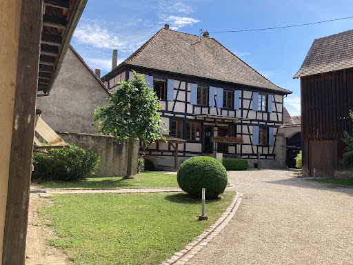 Talenz MGA Zellwiller Gallery - France