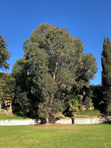 Parco “Sanaclero” villa Angerer - Thumbnail
