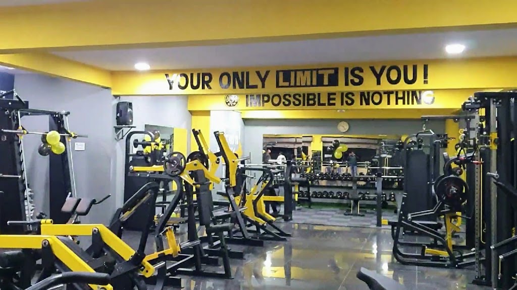Gold Z Gym