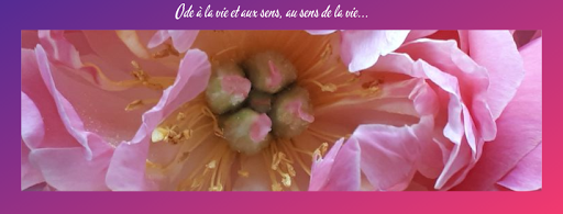 PASCALE GILLES GROSDEMOUGE