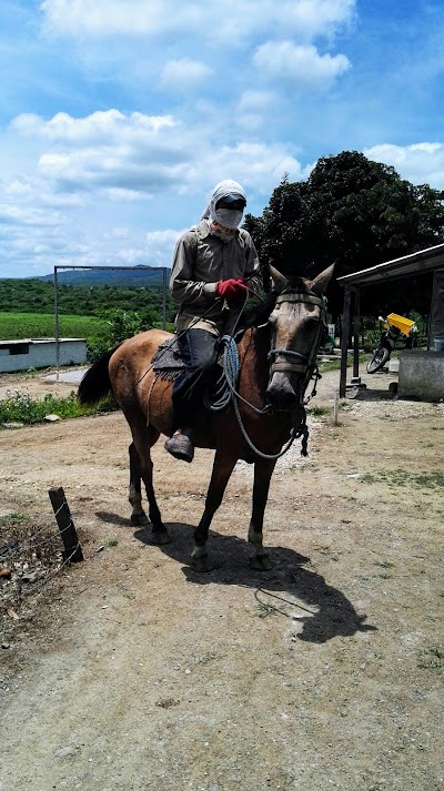 Photos of Cereales Del Ecuador S.C.C
