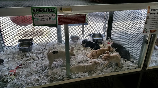 Animal House Pet Shop - Thumbnail