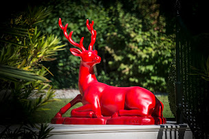 Photo n°13 de Cognac Thomas Hine & C° à Jarnac (Magasin de vins et spiritueux)