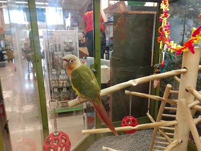 Petco