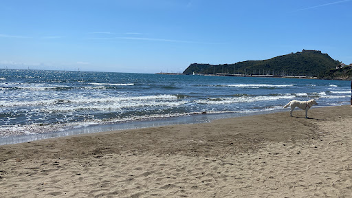 Gorilla, Spiaggia della Feniglia - Thumbnail