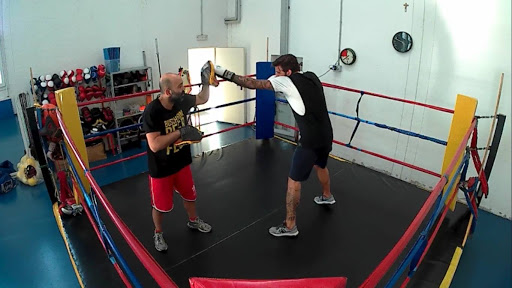 Pro-Fighting Forlì - Visual