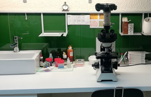 Clínica Veterinaria Bau