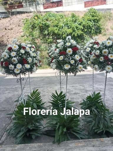 Floristería Jalapa - Thumbnail
