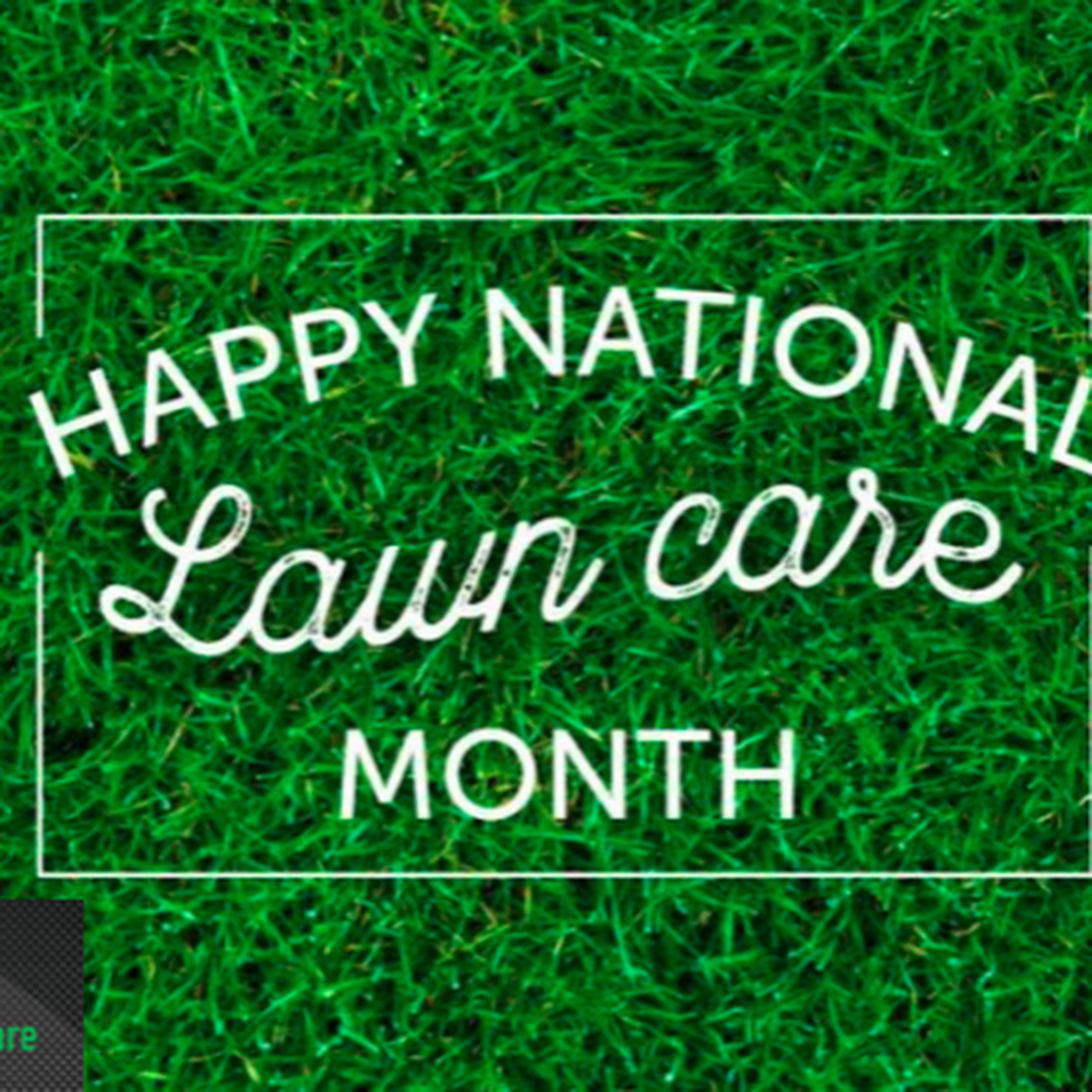 Paysons Lawn Care Lawn Care Service In Ottawa Surrounding Areas