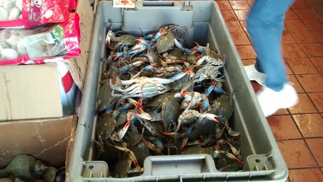 Seafood Center