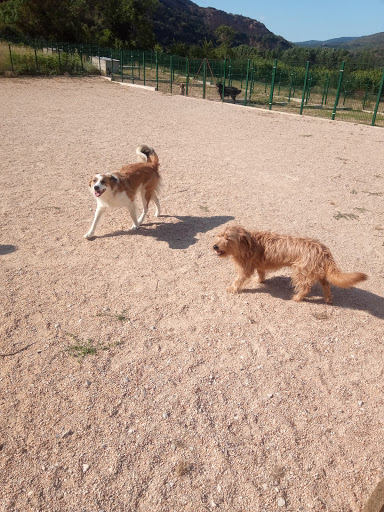 Hotel para perros Belascan