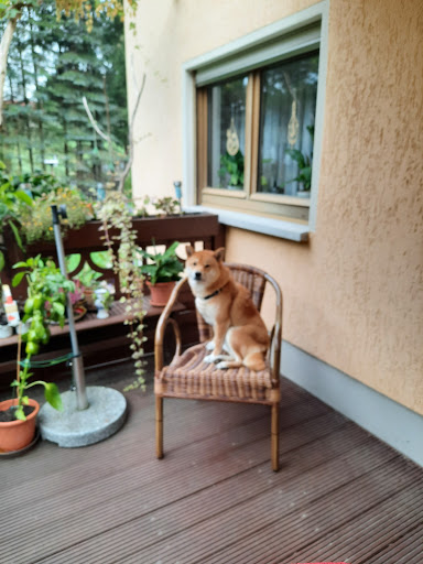 Dipl.Med.Vet. Sabine Lux Tierärztin - Thumbnail