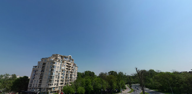Картинг Лаута