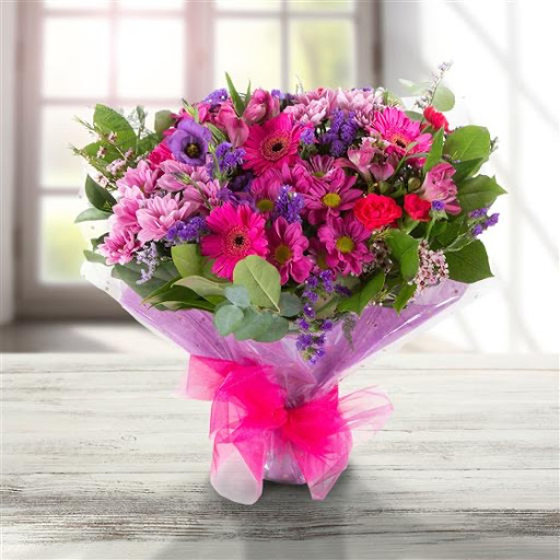 101 Carnations - Visual