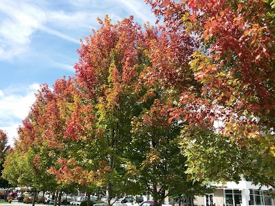 Photos of Biltmore Park Town Square