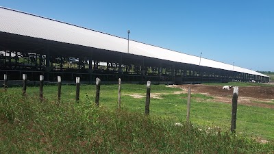 Photos of Lecher&iacute;a San Antonio, Grupo Rica