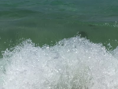 Photos of Praia do Curralinho