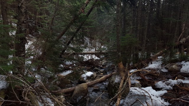 Moosilauke Ravine Lodge