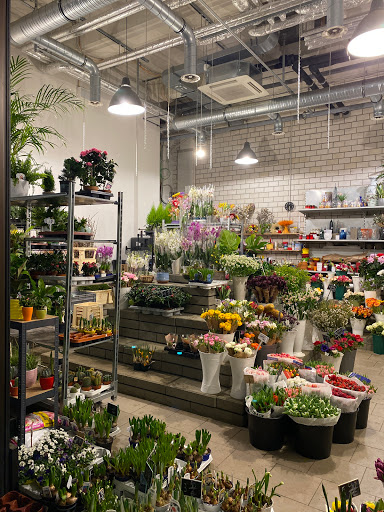 Cutin Blumen - Visual