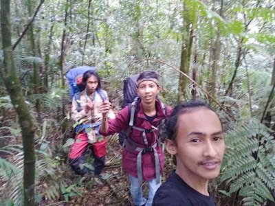 Photos of Kiaraberes-Gagak