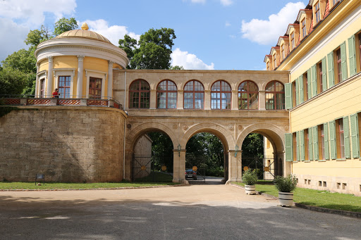Schlossmuseum Sondershausen - Thumbnail