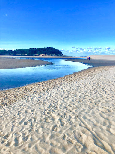 Beauty at the Beaches - Thumbnail