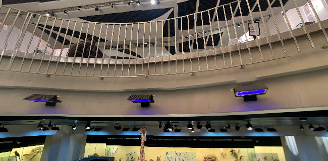 Rezensionen über Naturhistorisches Museum der Universität Zürich in Pfäffikon - Museum