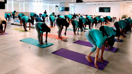 Fitness Lifestyle Yoga FLY