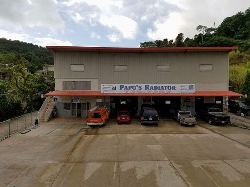 Papo's Radiator Inc. Gallery - United States