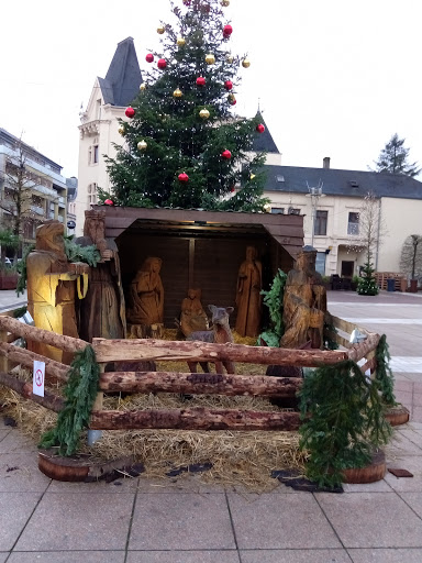 Cactus Differdange - Visual