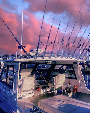 Gatherer Outfitters by null