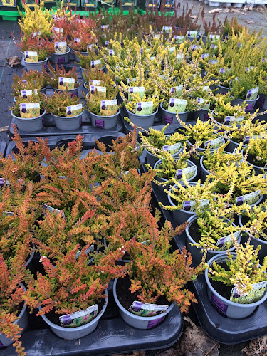 Reviews of Cove Bay Nurseries in Aberdeen - Landscaper