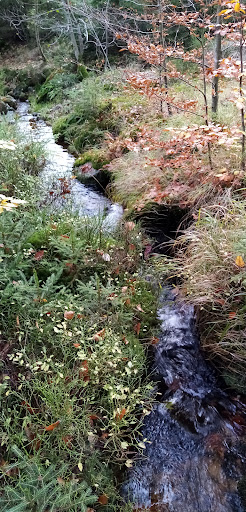Steinachruh - Visual