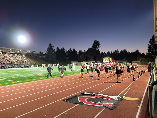 McKenzie Stadium - Visual