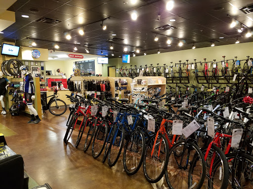Trace Bikes - Visual