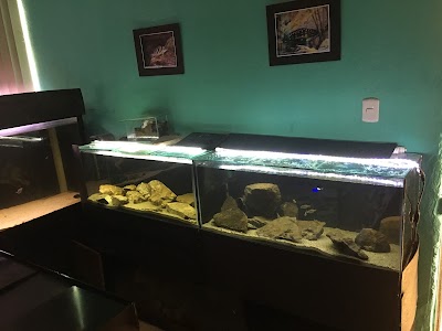 Photos of Aqua-rift Acuario