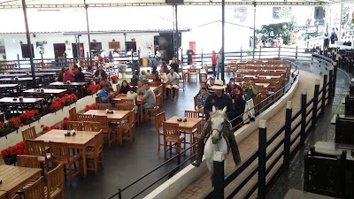 Photos of Rancho Criadero Kamelia