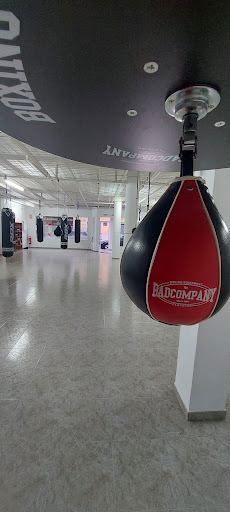 Bam Boxing club - Thumbnail
