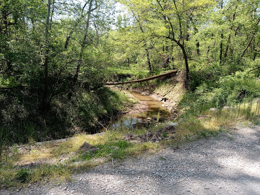 Agency Conservation Area - Thumbnail