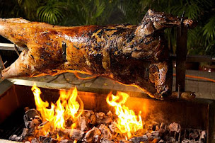 Photo n°35 de Camping Cap Sud à Alénya (Agence de location de mobile homes)