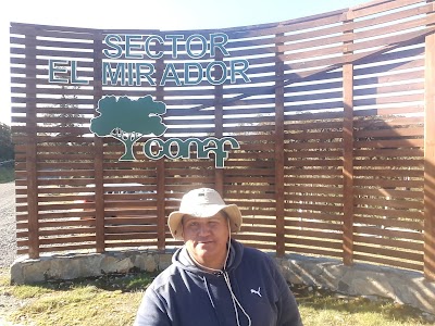 Photos of Acceso Alerce Milenario