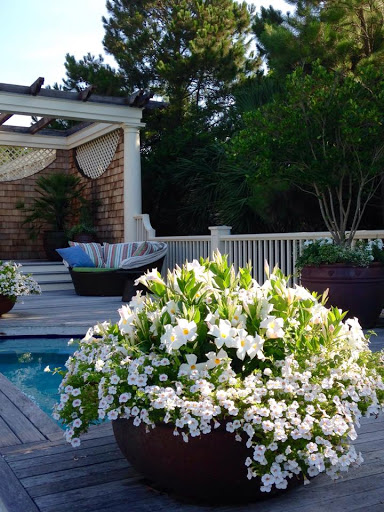 Anne Cothran Garden & Floral - Thumbnail