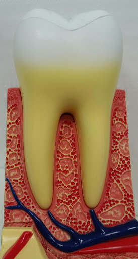Studio Dentistico Dott. Di Rollo Pierluigi - Thumbnail