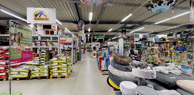 Horta Martens - Hasselt