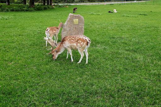 Kurpark Schlema - Thumbnail